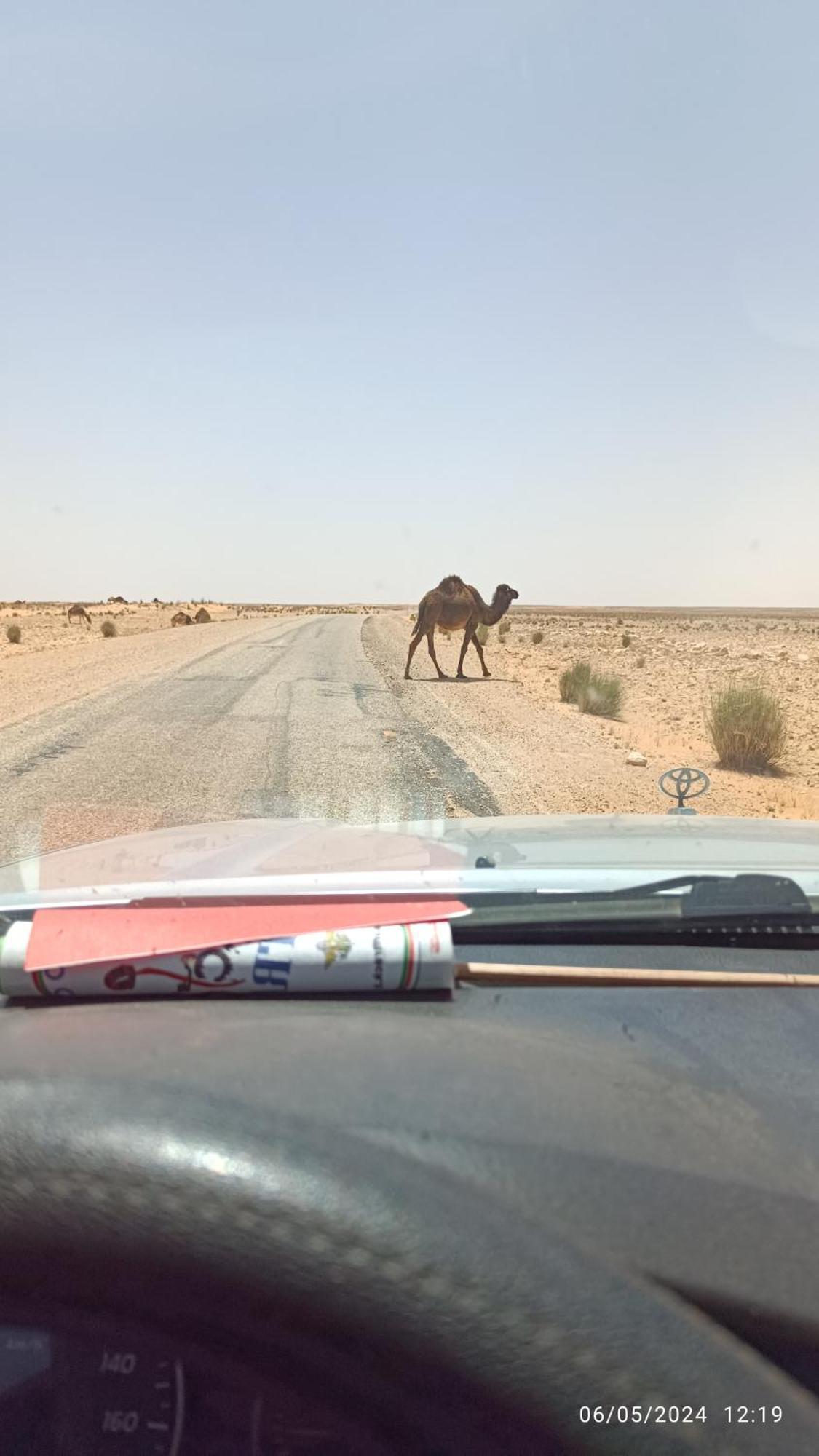 Dar Lagune Djerba Vue De Mer Al Haddadah エクステリア 写真