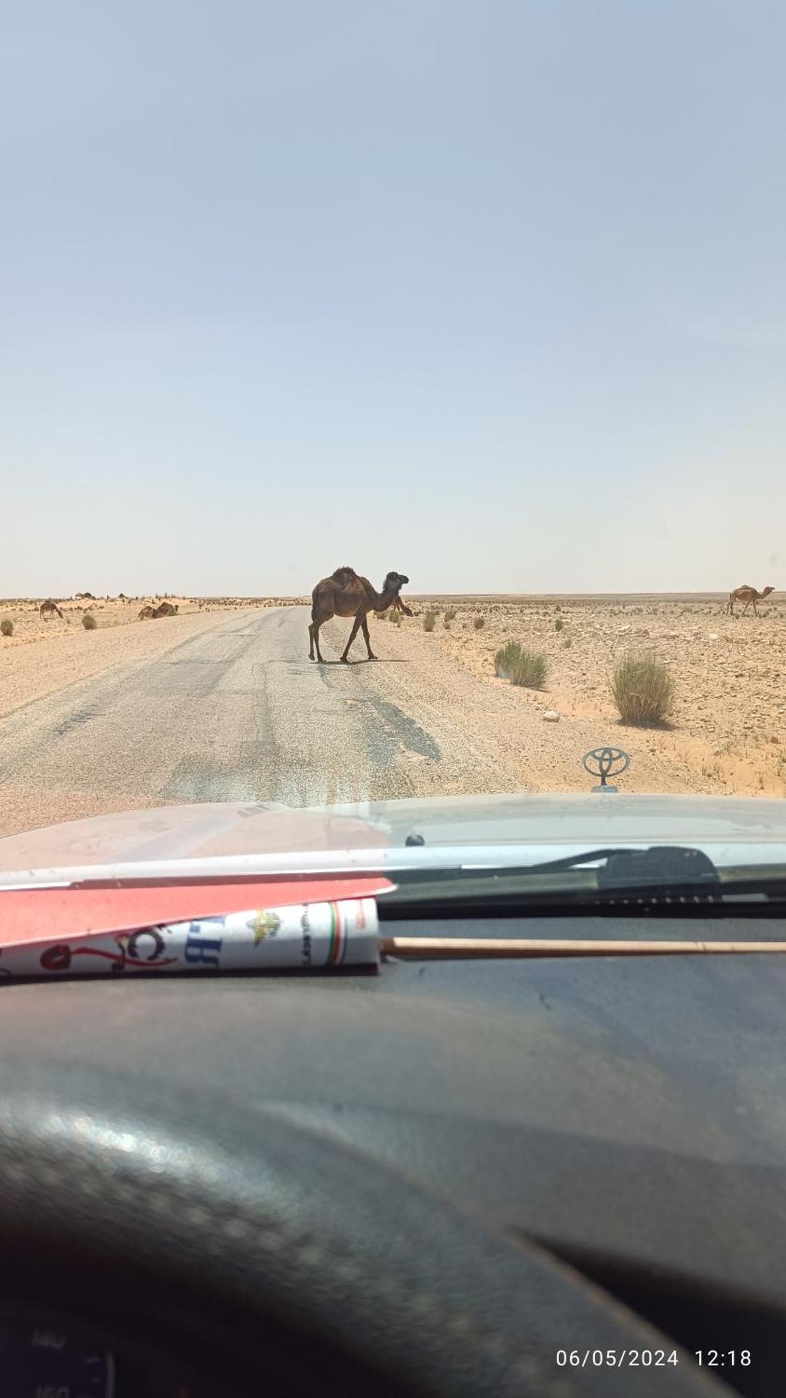 Dar Lagune Djerba Vue De Mer Al Haddadah エクステリア 写真