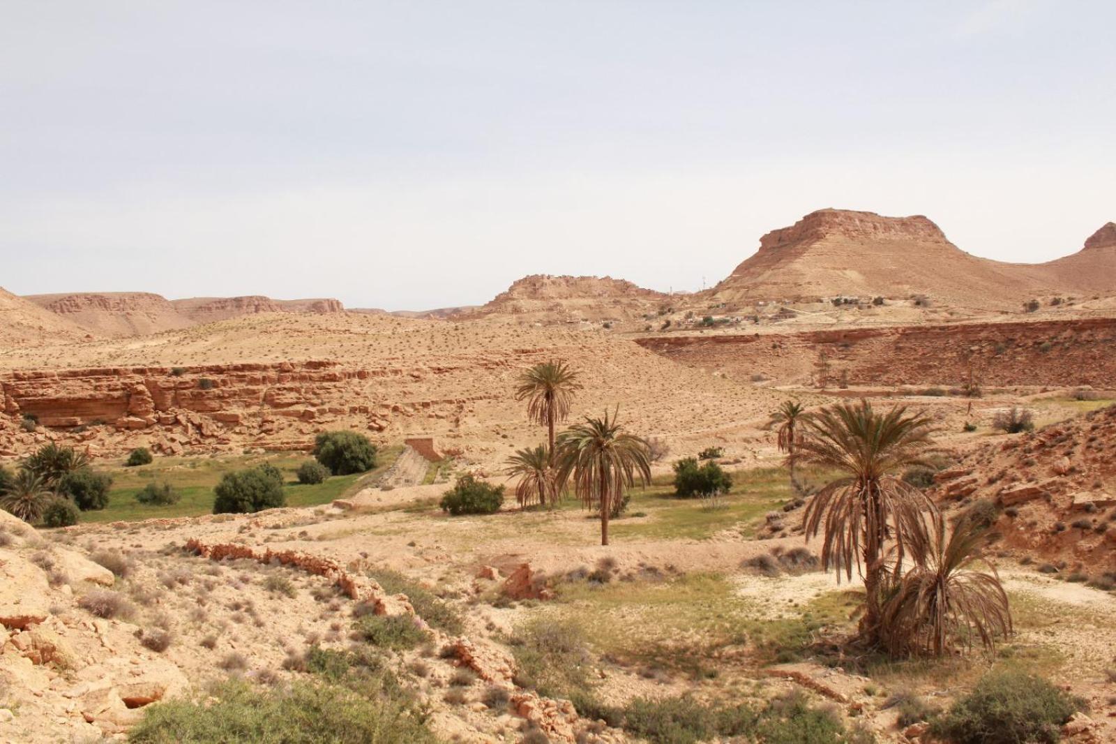 Dar Lagune Djerba Vue De Mer Al Haddadah エクステリア 写真