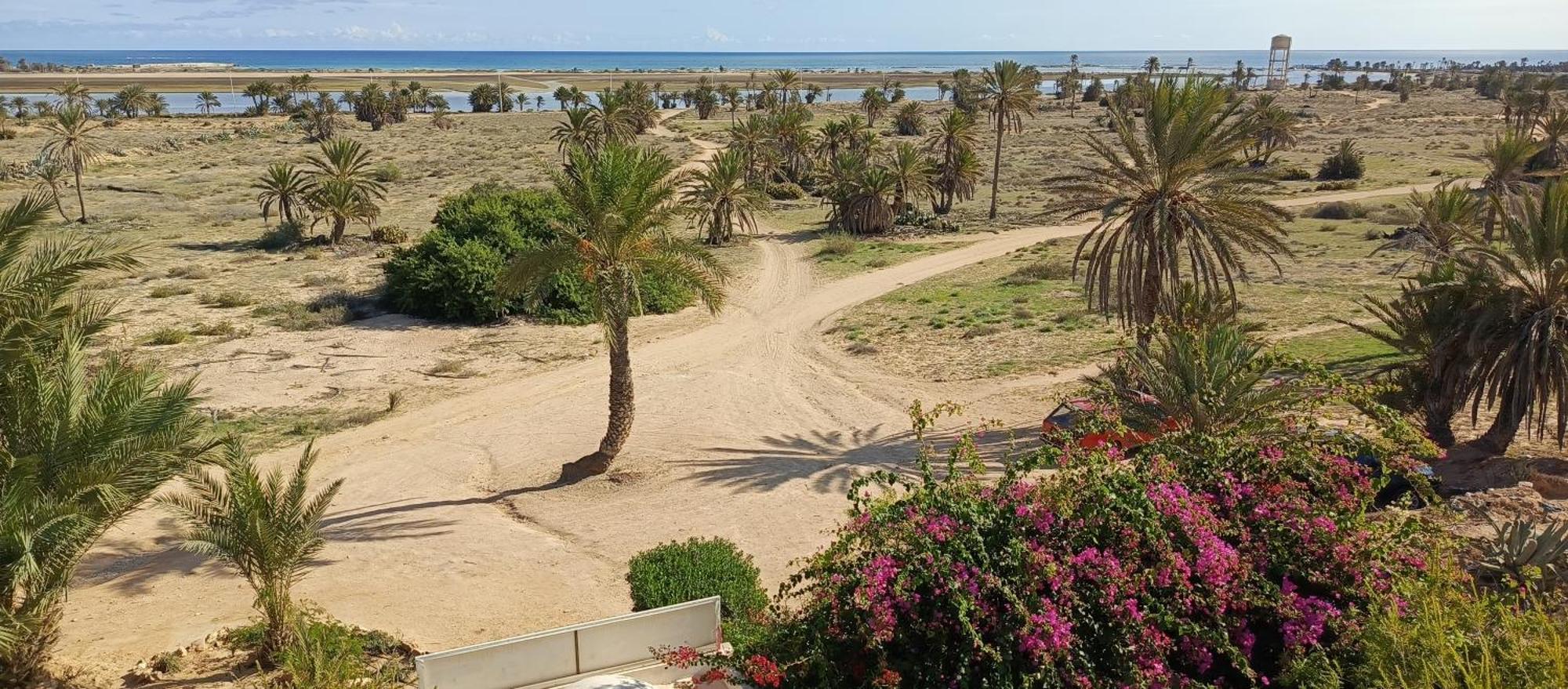 Dar Lagune Djerba Vue De Mer Al Haddadah エクステリア 写真